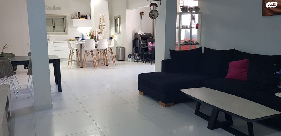 צבי הרמן שפירא 