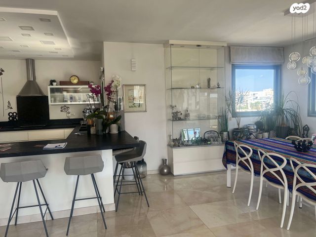 גג/ פנטהאוז, בראלי, תכנית ל', למד, תל אביב יפו