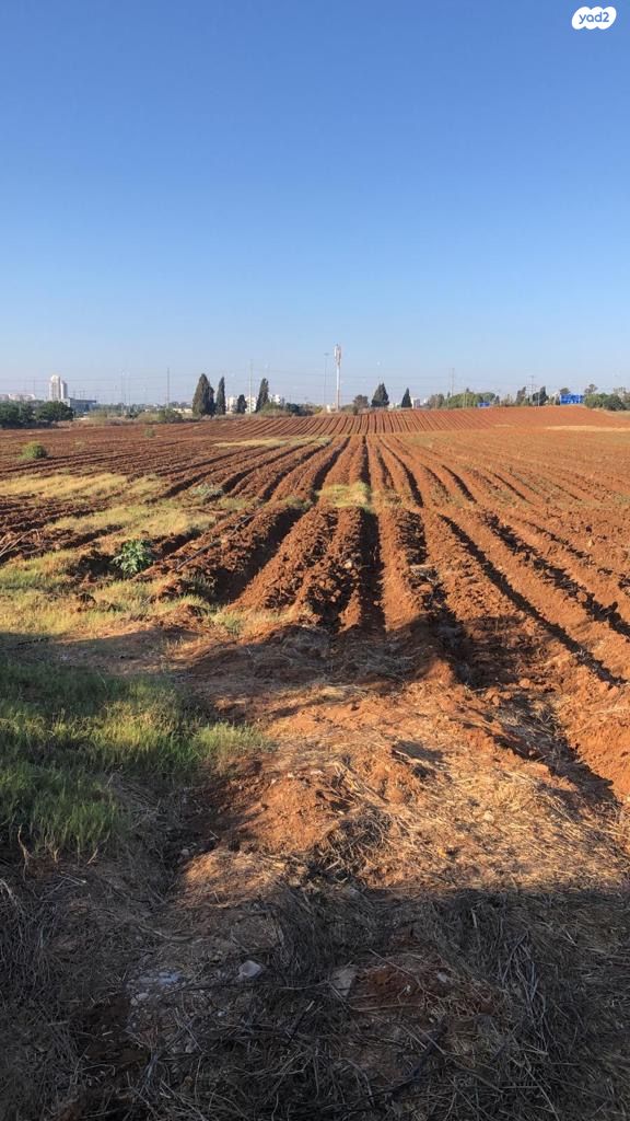 בית פרטי/ קוטג'