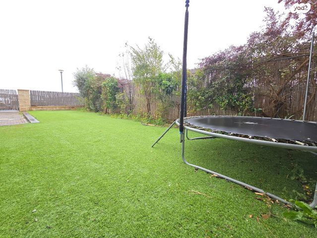 שדרות טום לנטוס 71