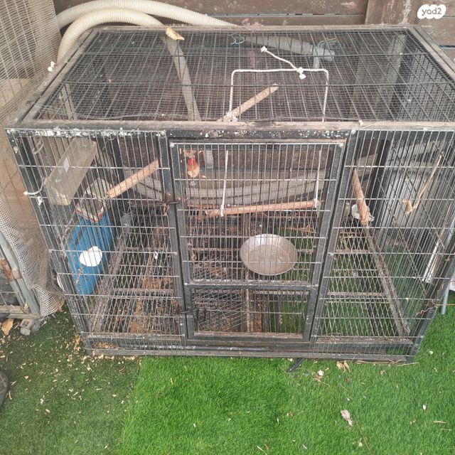 תמונת מודעה - חיות מחמד