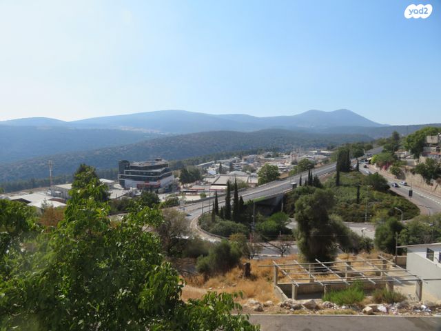 דוד אלעזר 42