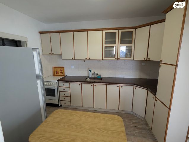 שמואל שרירא 5