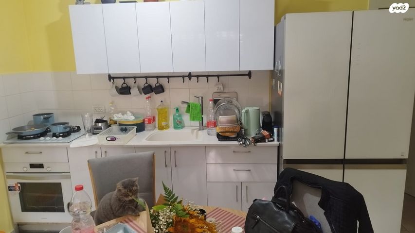 דירת גן, חטיבת כרמלי 1, נווה פז, חיפה