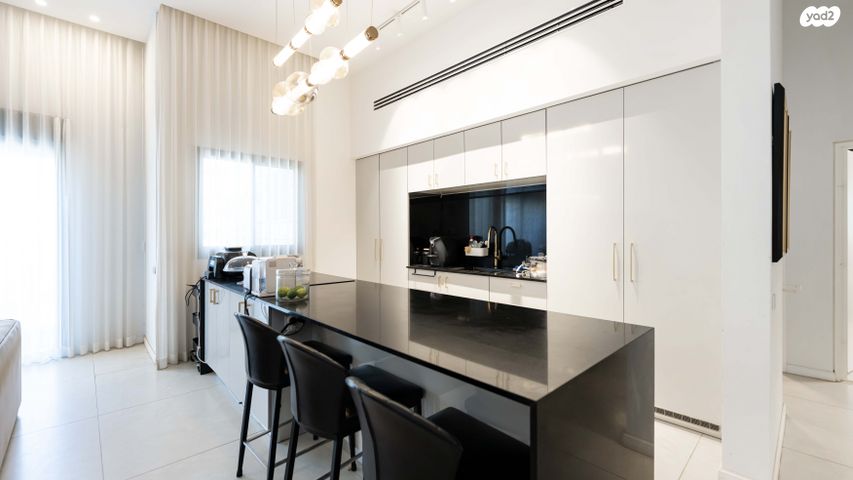 שייקה אופיר 