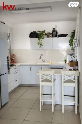 דירה, שמשון, חדרה הצעירה, חדרה