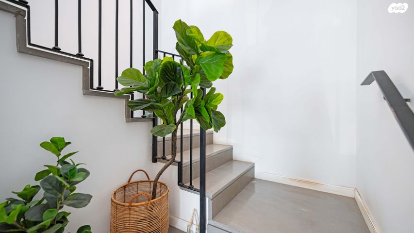 גג/ פנטהאוז, שייקה אופיר, כפר יונה