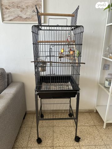 תמונת מודעה - חיות מחמד