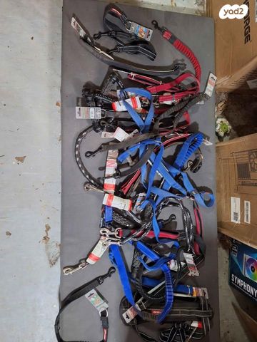 תמונת מודעה - חיות מחמד