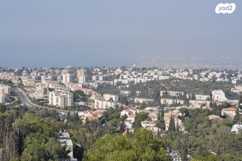 יהודה בורלא 26