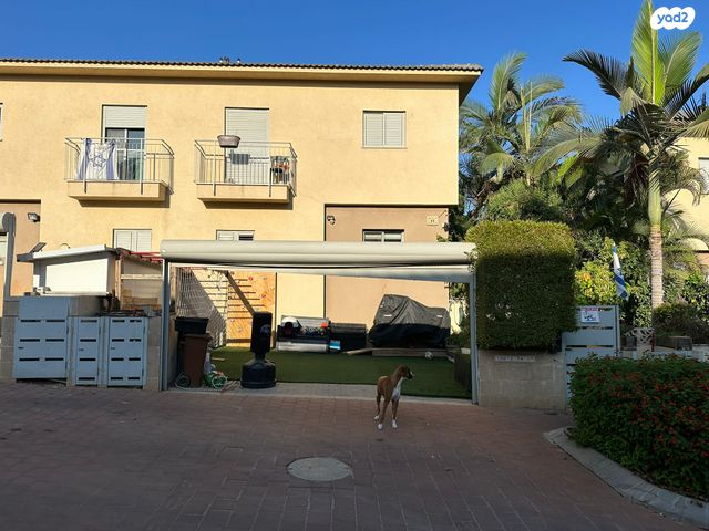 ד"ר הוגו הסנר 11