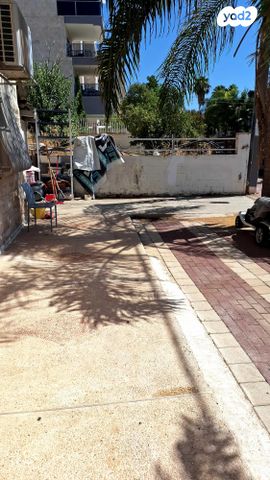 גרשון דובנבוים 12