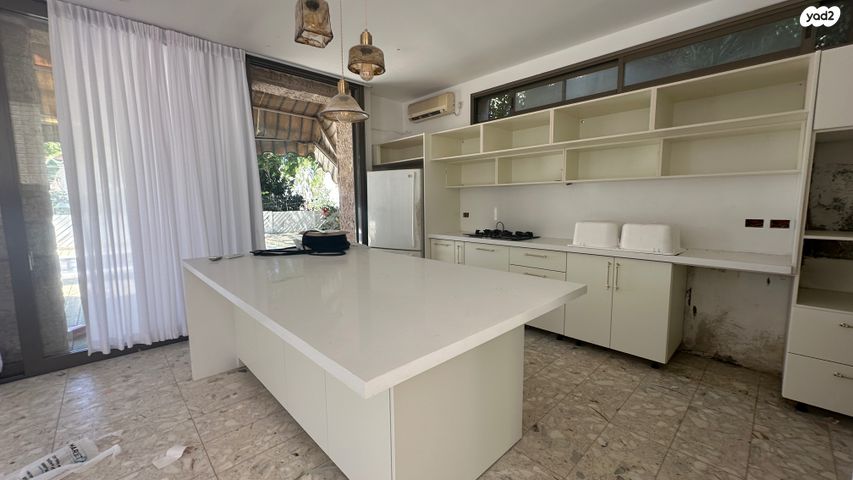 דו משפחתי, דוד המלך, הרצליה פיתוח, הרצליה