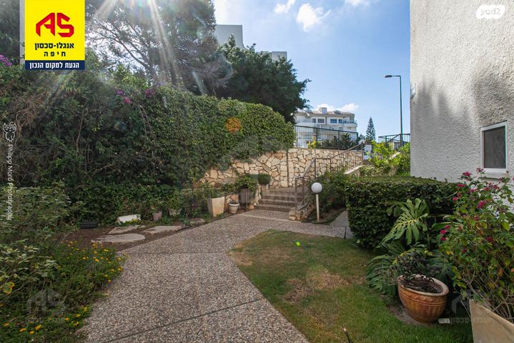 דירה, ארתור הנטקה, אחוזה, חיפה