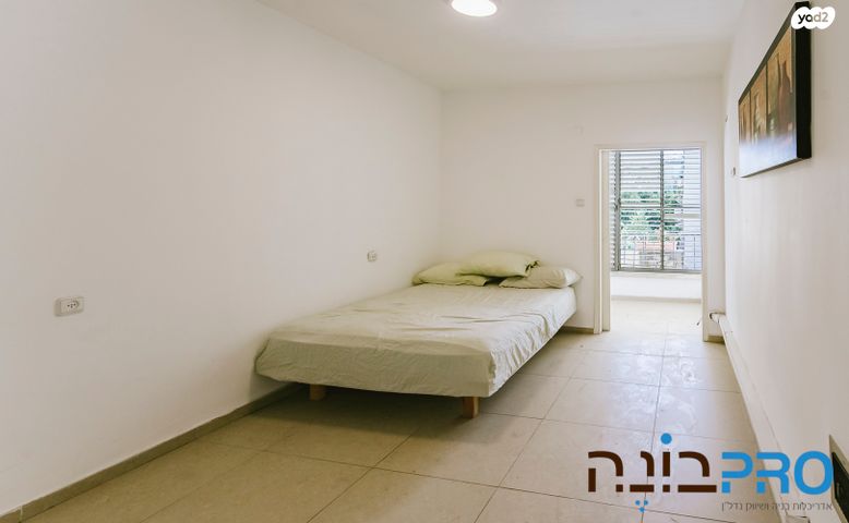 צבי הירשפלד 