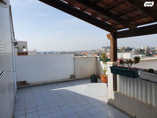 דירה, ד"ר הרמן מאאס, היובל, שרונה, רחובות