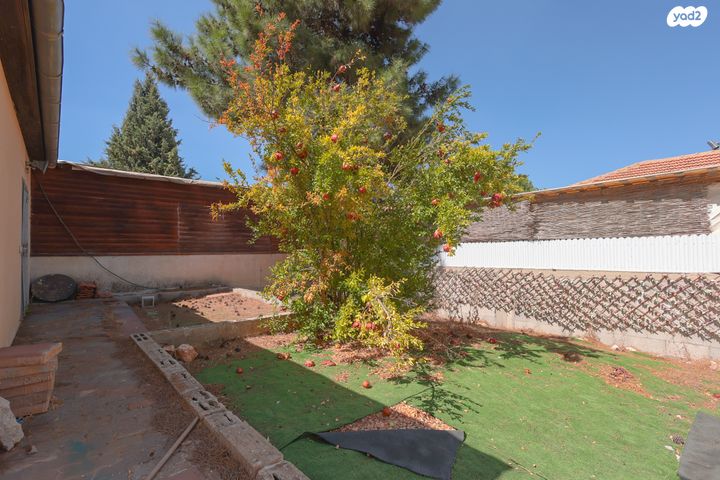 מרום כנען איביקור