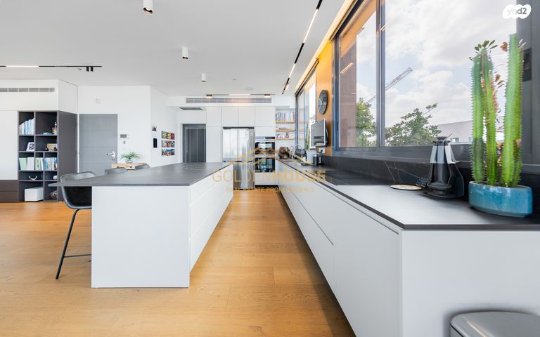 גג/ פנטהאוז, נווה דוד רמז, רעננה