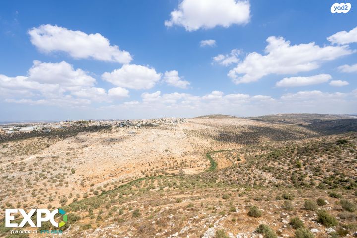 דירה, אלה 19, לשם, עלי זהב