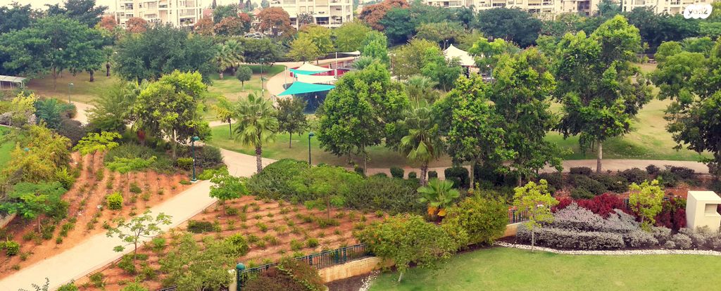 דירה, הכפר, פרדס רייספלד, קרית אונו החדשה, קרית אונו