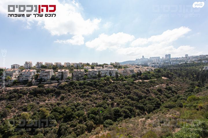 משה גוט לוין 