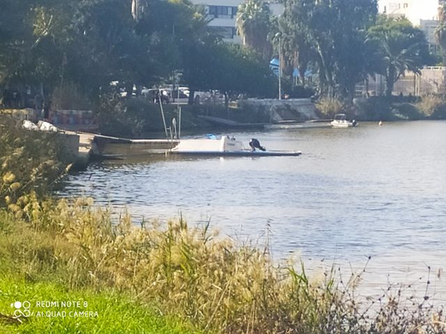 גג/ פנטהאוז, שלומציון המלכה, הצפון החדש - צפון, תל אביב יפו