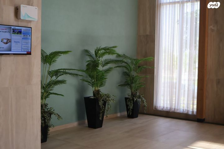 גג/ פנטהאוז, שאנין, עיר היין, אשקלון