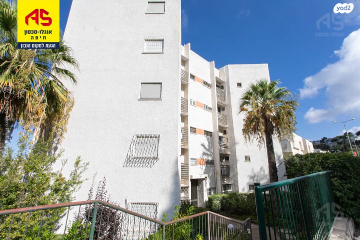 ארתור הנטקה 