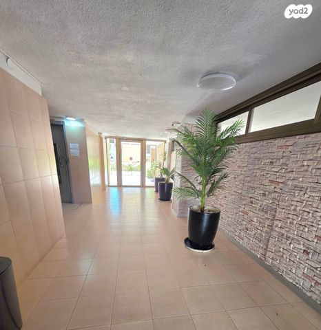 דירה, חב"ד, רמב"ם, ראשון לציון