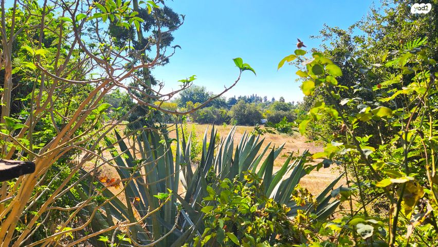 בית פרטי/ קוטג', בנימינה גבעת עדה