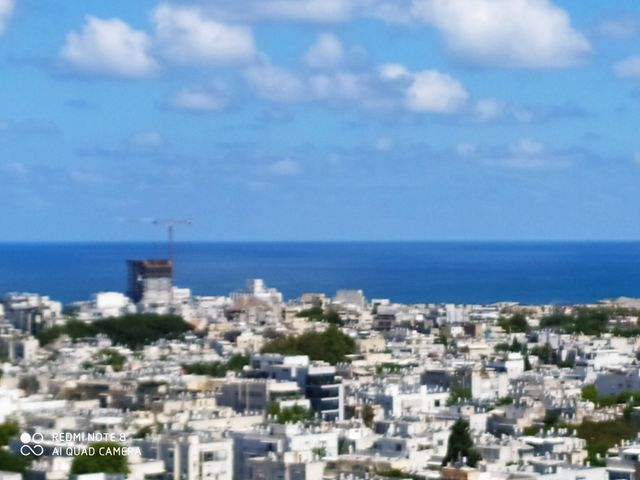 גג/ פנטהאוז למכירה בתל אביב יפו (תיווך) — 4