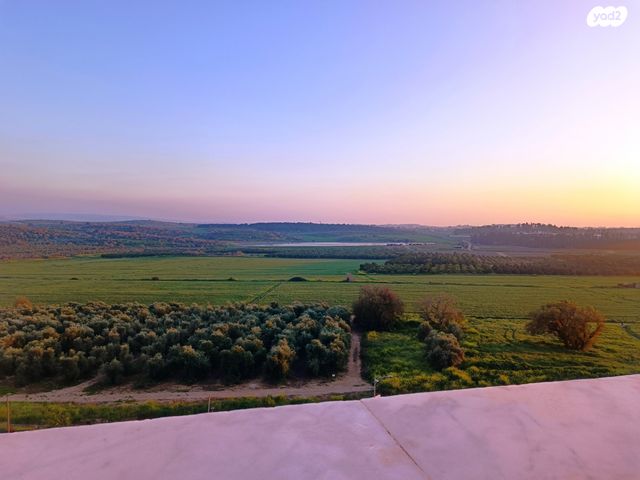 שדרות ההגשמה 