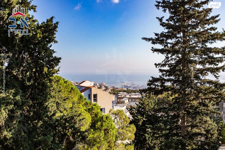 אלברט איינשטיין 