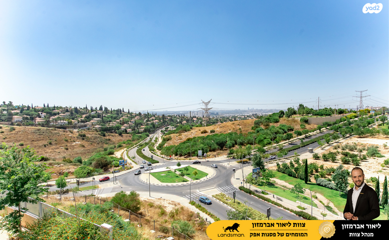 דירת גן, פול סמואלסון, ראש העין