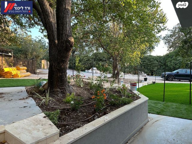 טבעון הוותיקה