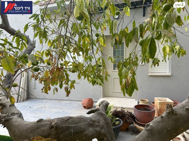 דו משפחתי, טבעון הוותיקה, קרית טבעון