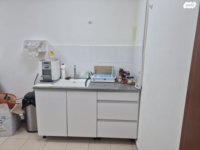 יצחק בן צבי 