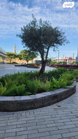 משרדים, משה דיין, פארקטק פתח תקווה / אזור תעשייה קרית אריה, פתח תקווה