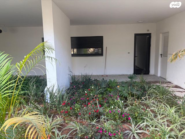 קליניקות, שלומציון המלכה, הצפון החדש - צפון, תל אביב יפו