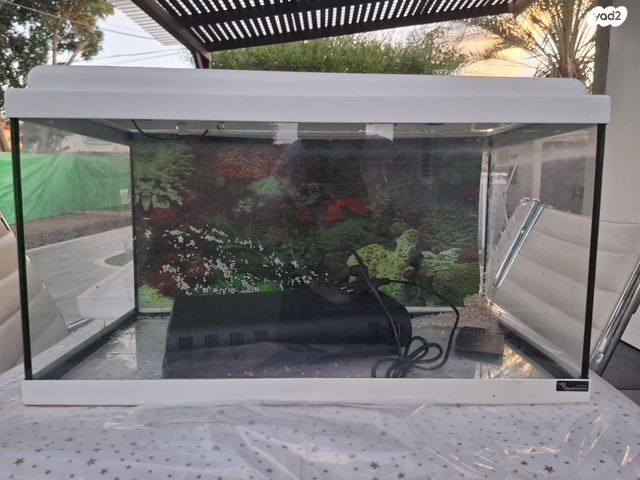 תמונת מודעה - חיות מחמד