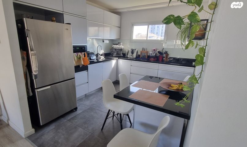 אירוס הארגמן 46