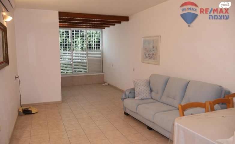 דוד וולפסון 