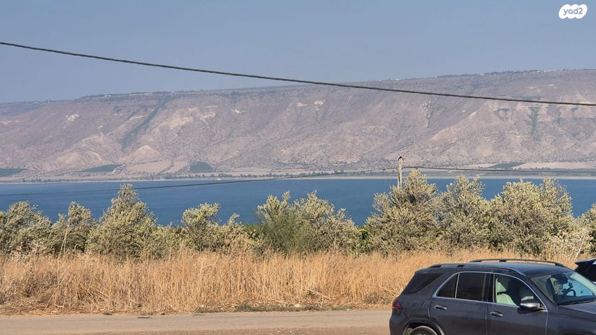 פוריה עילית