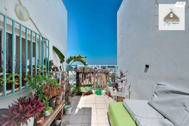 דירה, עסיס, פרדס חנה כרכור