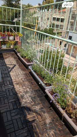 דירה, ירושלים