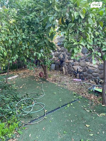 דו משפחתי, שיזף, מורדות טבריה, טבריה