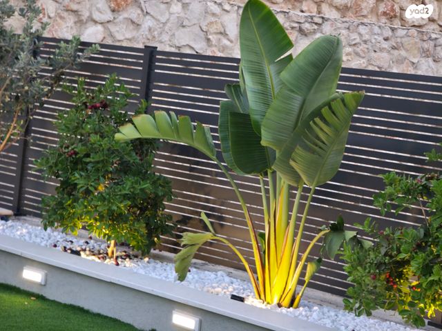 גג/ פנטהאוז, מעלות תרשיחא