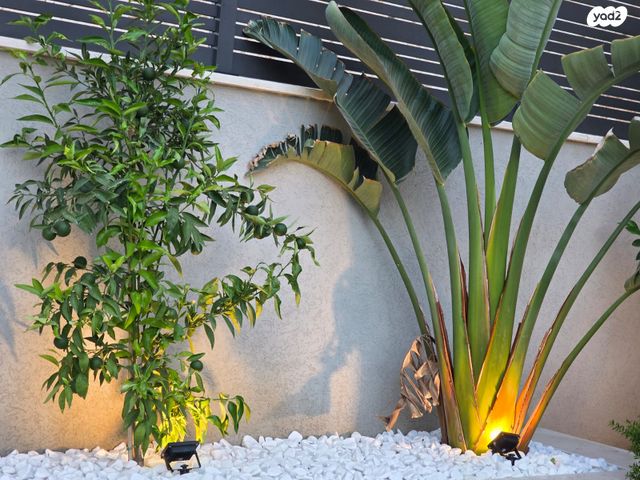 גג/ פנטהאוז, מעלות תרשיחא