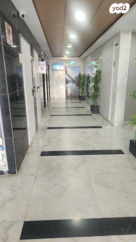 דירת גן, אלמוג 8, גלי כרמל, טירת כרמל