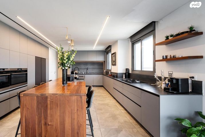 גג/ פנטהאוז, יעקב אבינו, לוד